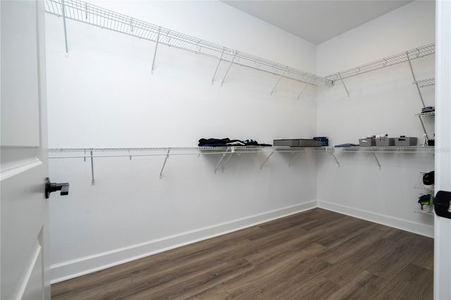 734 CREEPING FIG STREET, Apopka, FL 32703