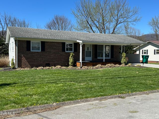 106 Buffalo Court, Erwin, TN 37650