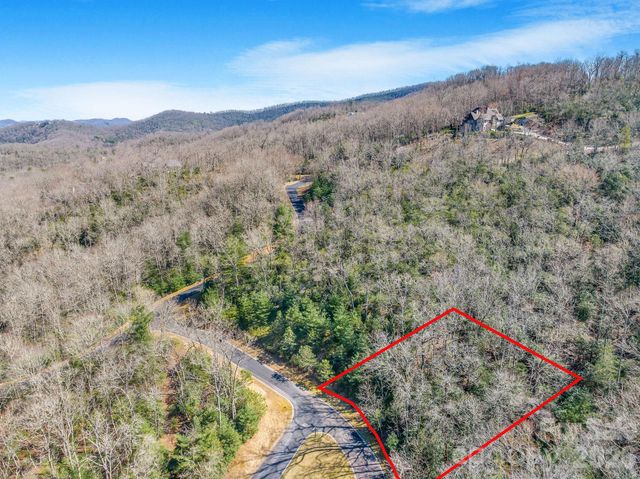 116 May Fly Lane 116, Horse Shoe, NC 28742