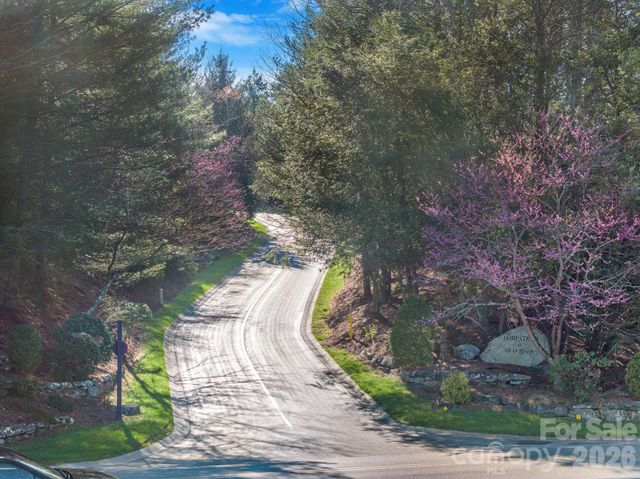 116 May Fly Lane 116, Horse Shoe, NC 28742