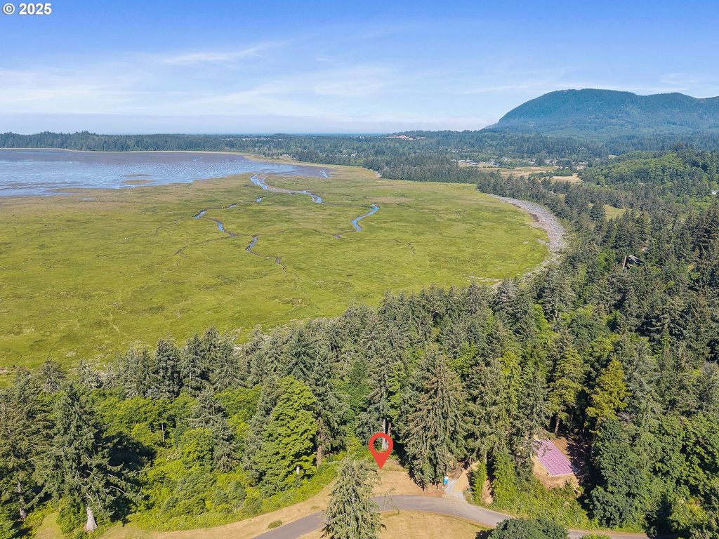 Nehalem Point Dr TL 2000, Nehalem, OR 97131