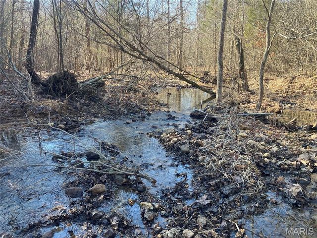 213 Madison CR 410, Fredericktown, MO 63645