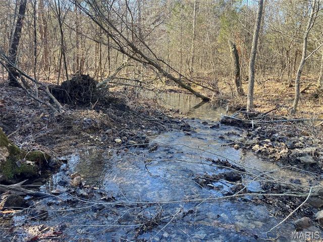 213 Madison CR 410, Fredericktown, MO 63645