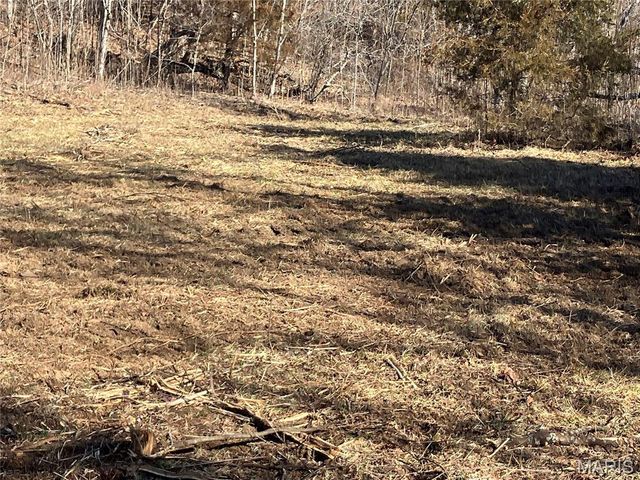 213 Madison CR 410, Fredericktown, MO 63645