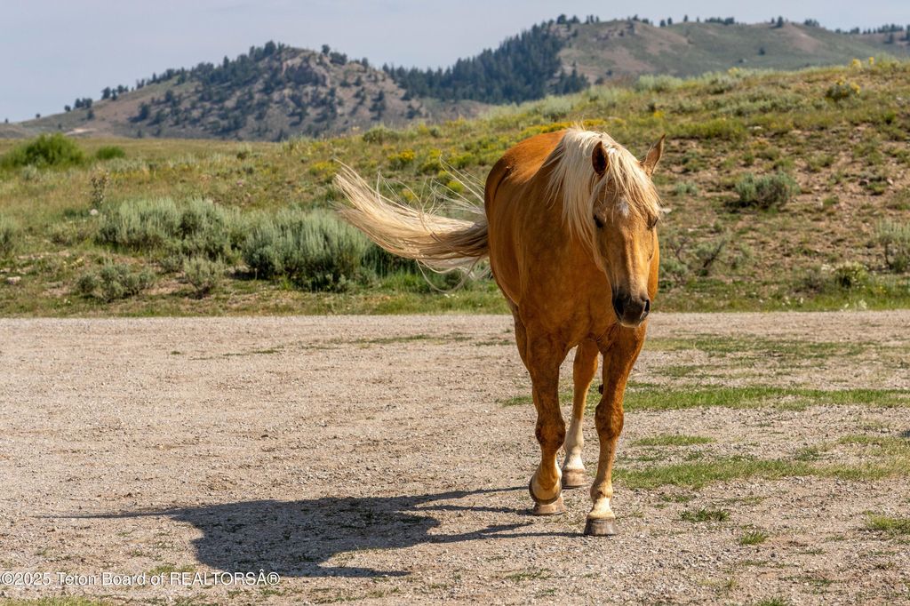 30 VISTA Road, Cora, WY 82925 photo 73