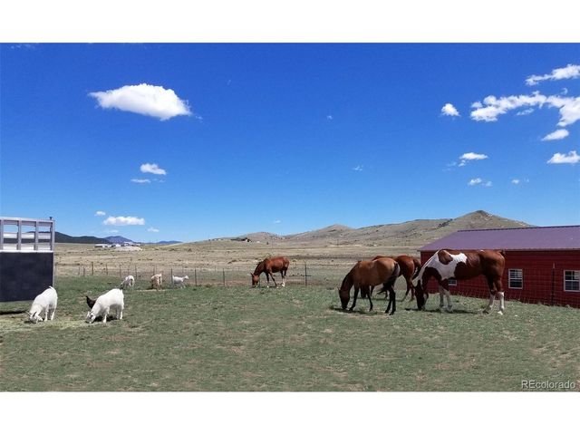 378 Lone Tree Cir, Westcliffe, CO 81252