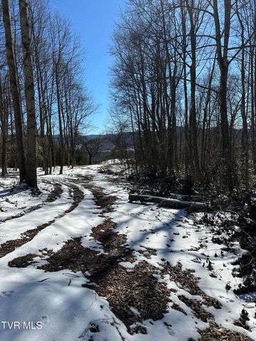 144 Zeb Grindstaff Road, Elizabethton, TN 37643