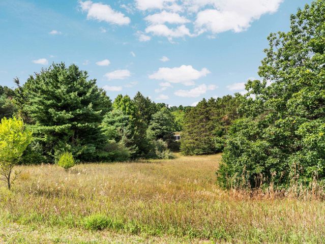 Lots 1 & 3 E Bingham Valley Drive, Bingham Twp, MI 49684