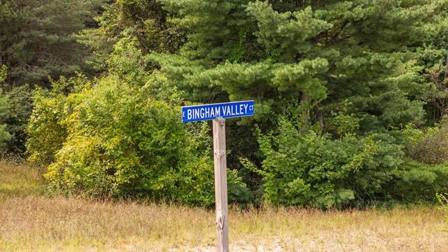 Lots 1 & 3 E Bingham Valley Drive, Bingham Twp, MI 49684