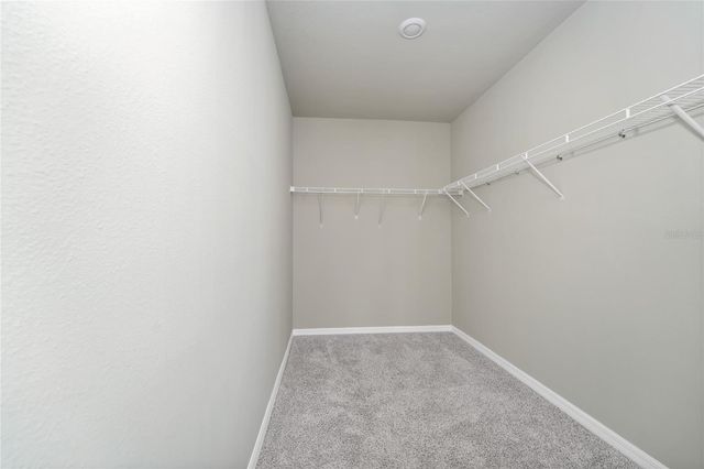 3817 SHOVELER AVENUE, Leesburg, FL 34748