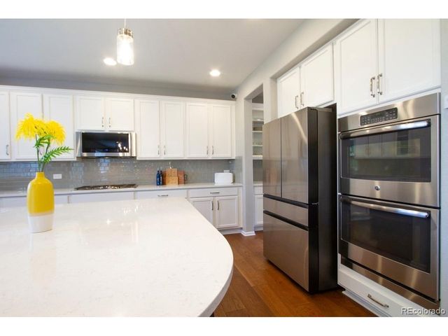 14317 Double Dutch Loop, Parker, CO 80134