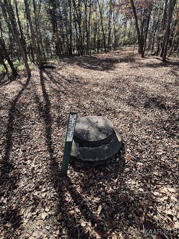 3808 Pine Shadow Lane, Montgomery, AL 36116