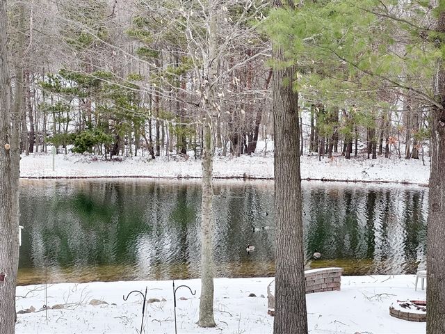 15401 Sundew Street, Grand Haven, MI 49417