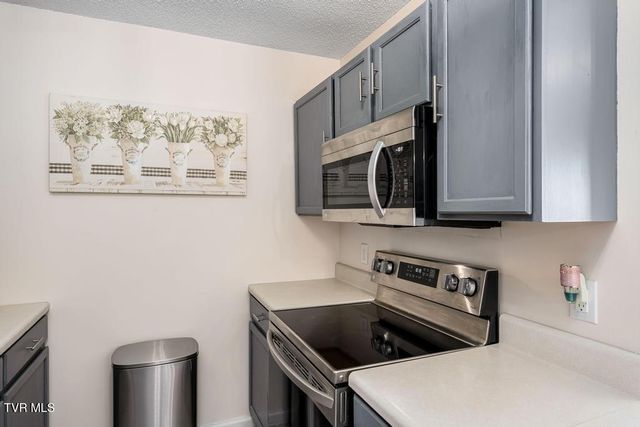 20 Boone Hill Court 20, Gray, TN 37615