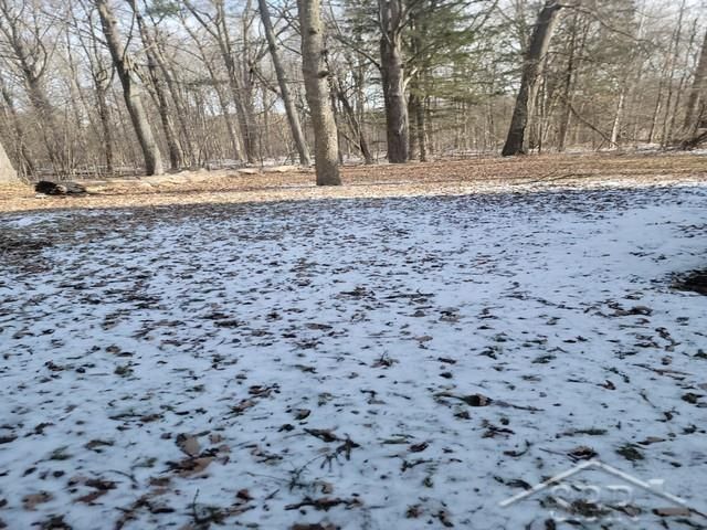 3861 Jim Drive, Bridgeport Twp, MI 48722