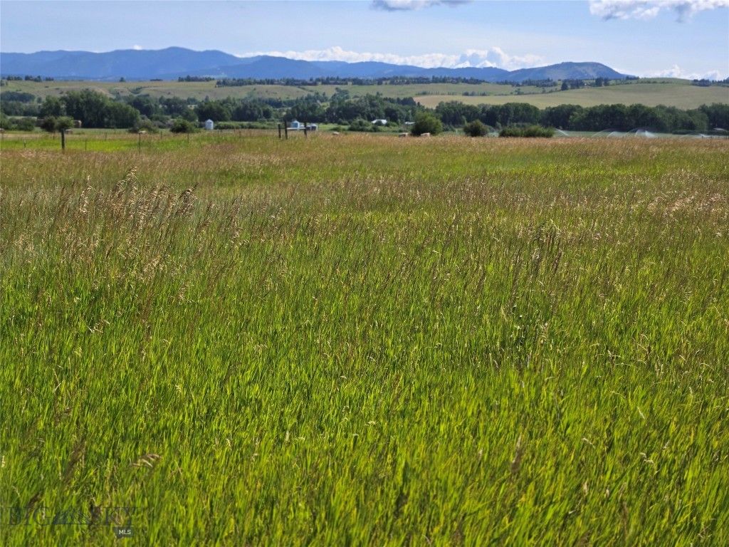 8050 S Leverich Road, Bozeman, MT 59715 photo 11