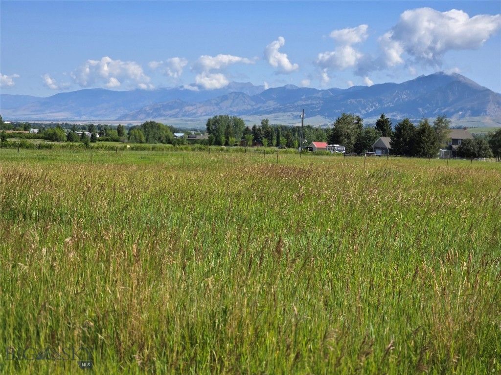8050 S Leverich Road, Bozeman, MT 59715 photo 2
