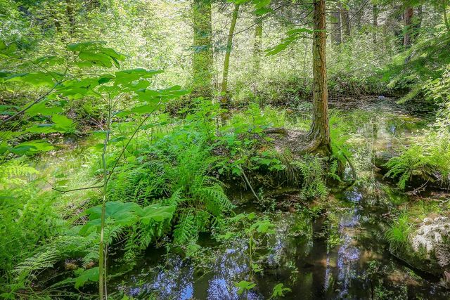 15936 Buckeye Rd, Nevada City, CA 95959