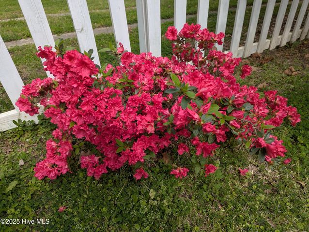 215 E Branch Street E, Spring Hope, NC 27882