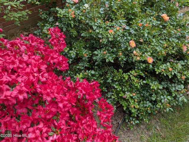 215 E Branch Street E, Spring Hope, NC 27882