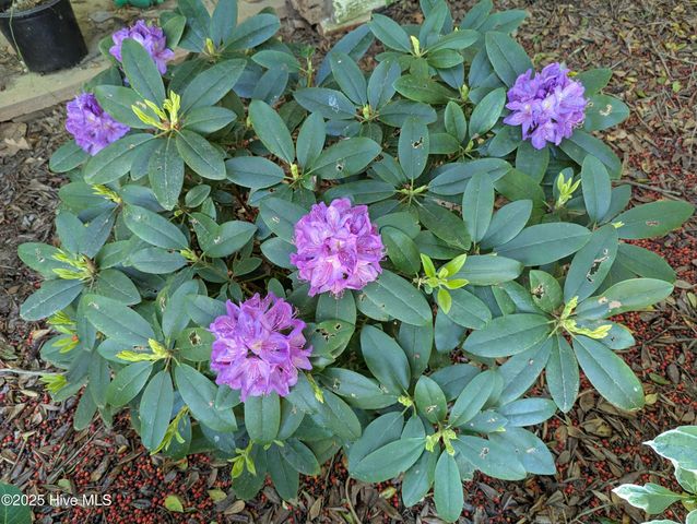 215 E Branch Street E, Spring Hope, NC 27882