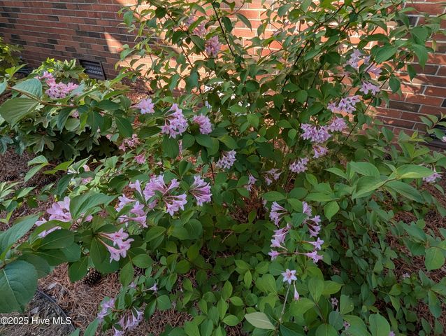 215 E Branch Street E, Spring Hope, NC 27882