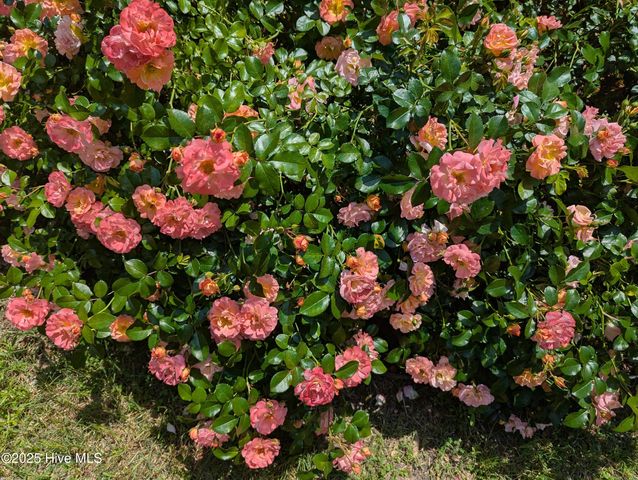 215 E Branch Street E, Spring Hope, NC 27882