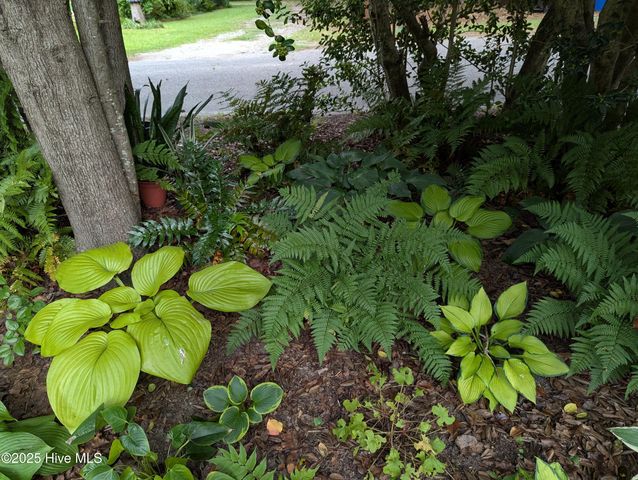 215 E Branch Street E, Spring Hope, NC 27882