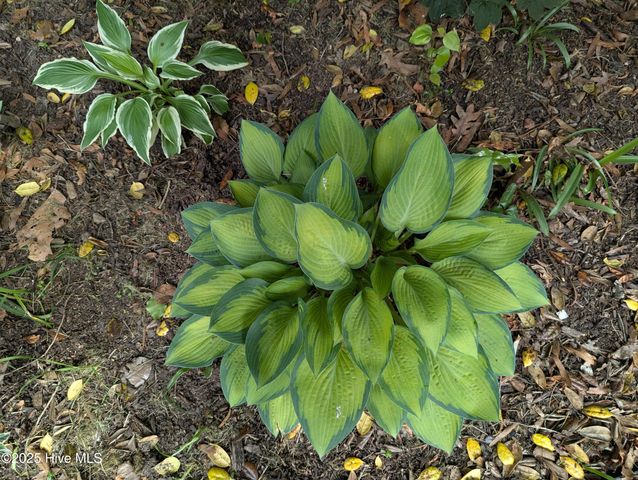 215 E Branch Street E, Spring Hope, NC 27882