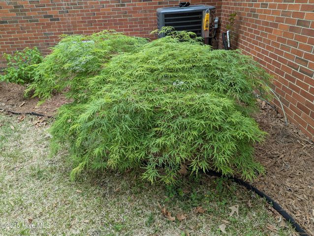 215 E Branch Street E, Spring Hope, NC 27882