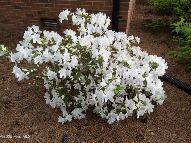 215 E Branch Street E, Spring Hope, NC 27882