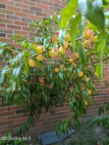 215 E Branch Street E, Spring Hope, NC 27882