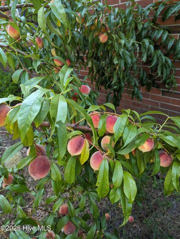 215 E Branch Street E, Spring Hope, NC 27882