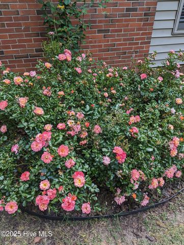 215 E Branch Street E, Spring Hope, NC 27882