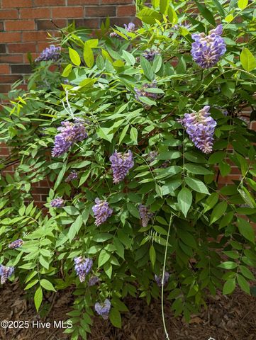 215 E Branch Street E, Spring Hope, NC 27882