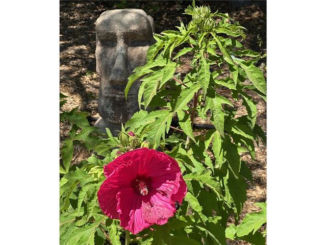 4052 4054 Indian Peak Road, Mariposa, CA 95338