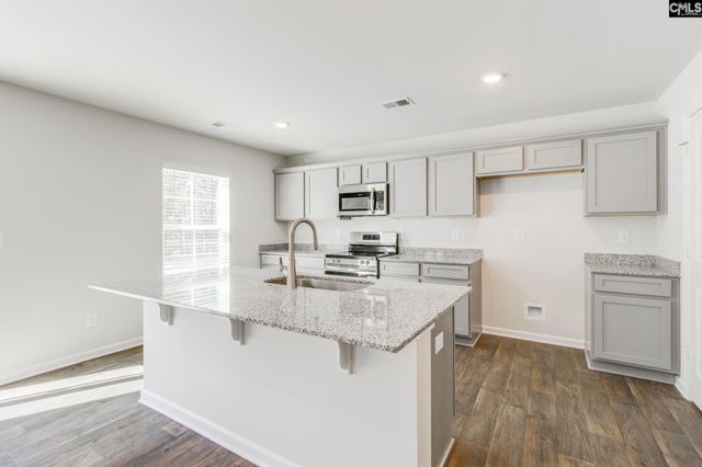 436 Peak Copper Court, Lexington, SC 29073