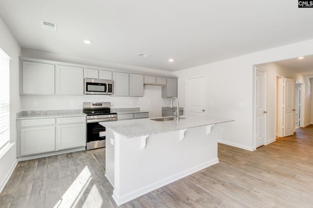 436 Peak Copper Court, Lexington, SC 29073