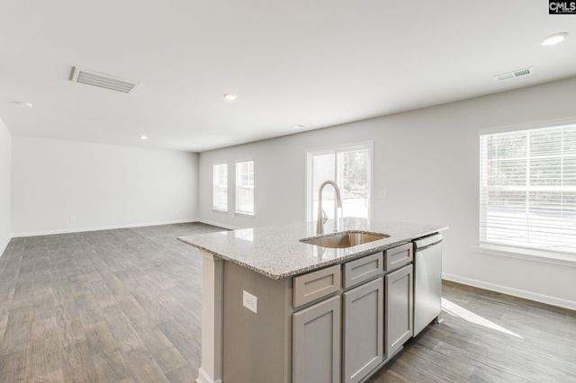 436 Peak Copper Court, Lexington, SC 29073