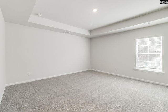 436 Peak Copper Court, Lexington, SC 29073