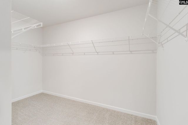 436 Peak Copper Court, Lexington, SC 29073