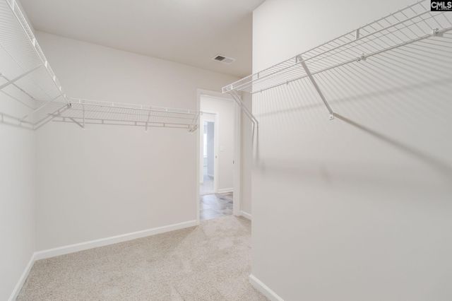 436 Peak Copper Court, Lexington, SC 29073