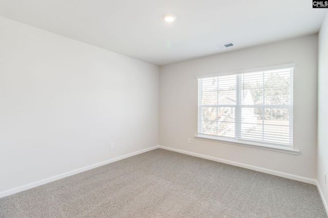 436 Peak Copper Court, Lexington, SC 29073