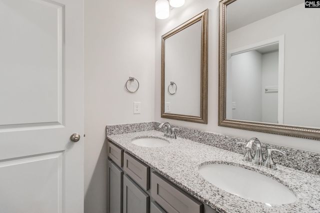 436 Peak Copper Court, Lexington, SC 29073