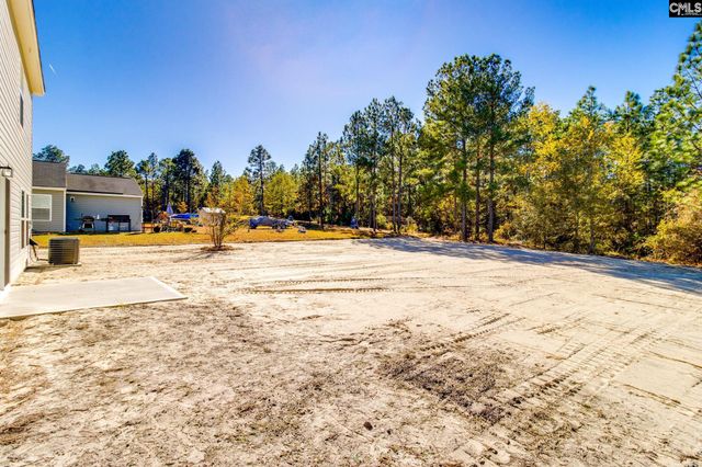 436 Peak Copper Court, Lexington, SC 29073