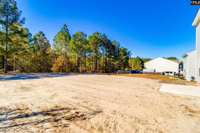 436 Peak Copper Court, Lexington, SC 29073