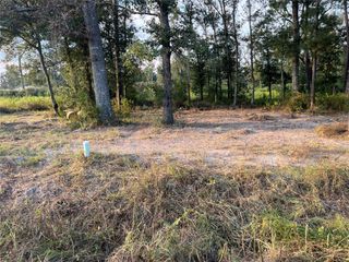 TBD Twin Oaks Road, Splendora, TX 77372