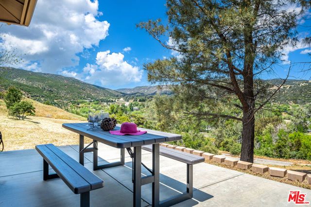 18087 Newview Drive, Lake Hughes, CA 93532