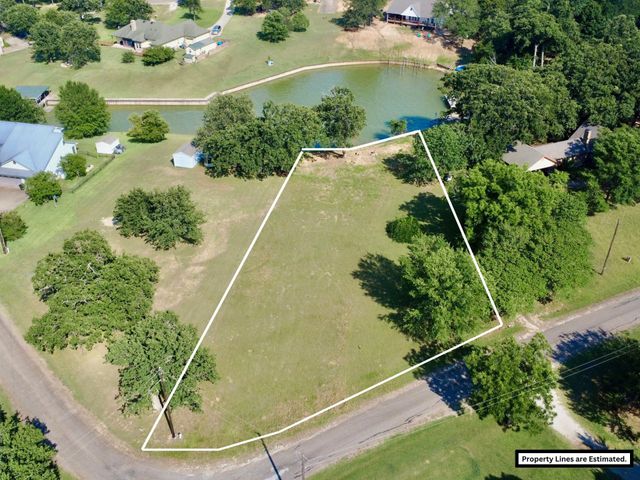 5001 Arrowhead Point, Streetman, TX 75859