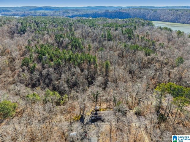 812 SMITH CAMP WAY, Adger, AL 35006